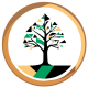 balanceview